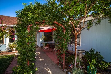 Court Yard