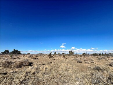 1 Greasewood Ln, Phelan, CA 92371 - photo 6