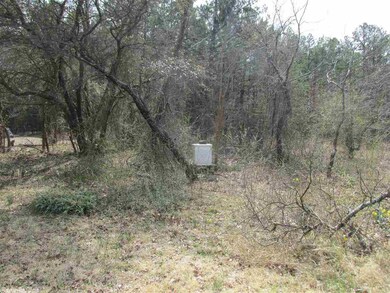 7.62 Acres Arkansas 25, Heber Springs, AR 72543 - photo 6