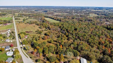 1800 State Highway O, Diggins Township, MO 65746 - photo 4