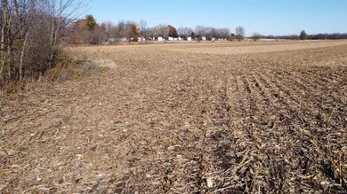 0ff W Cr 550 S Rd, Daleville, IN 47334 - photo 6