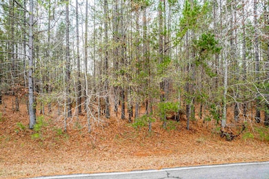 TRACT 2 Rose Creek Rd, Eatonton, GA 31024 - photo 4