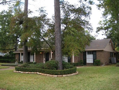 10218 Green Tree Rd, Houston, TX 77042 - photo 3