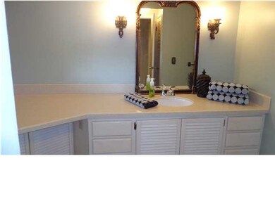 Lots of counterspace in the master bathroom