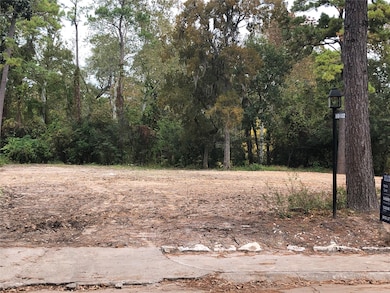 10102 Briar Dr, Houston, TX 77042 - photo 5