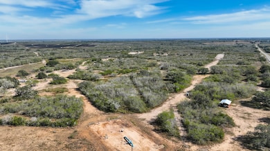 County Road 124, Kenedy, TX 78119 - photo 7