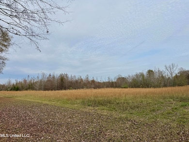 0000 Brown Rd, Canton, MS 39046 - photo 5