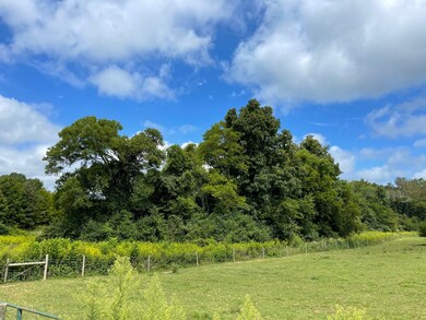 0 New Manchester Hwy, Manchester, TN 37355 - photo 5