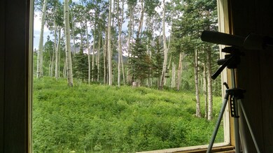 IMG_06_20190707_094705551_HDR