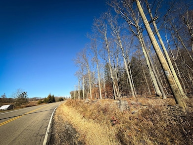 WP-02 Langford Creek Rd, van Etten, NY 14889 - photo 4