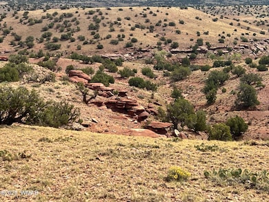 000 N5158, Concho, AZ 85924 - photo 3