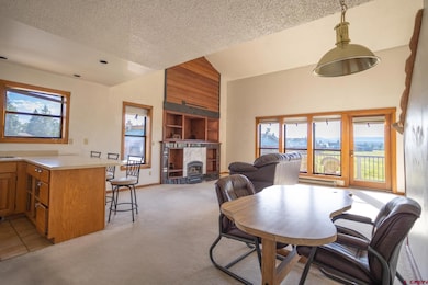 164 Valley View Dr unit 3218, Pagosa Springs, CO 81147 - photo 6