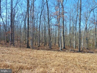 LOT 32 Comforter Ln, North River, VA 22645 - photo 4