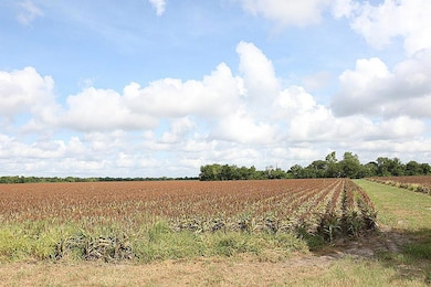 00 Philip Evan Rd, Needville, TX 77461 - photo 3