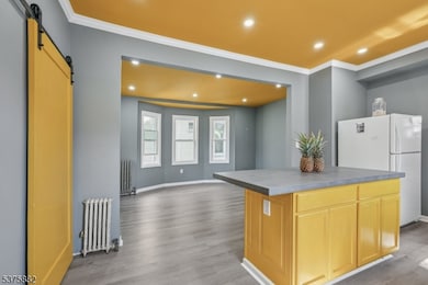 163 Laurel Ave, Irvington, NJ 07111 - photo 5