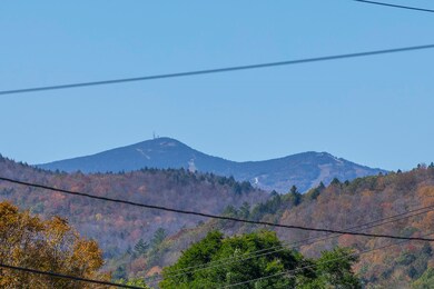 5798 W Woodstock Rd, Woodstock, VT 05091 - photo 3