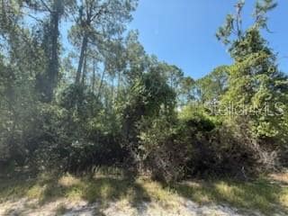 337 Palm Way, Georgetown Cove, FL 32139 - photo 4