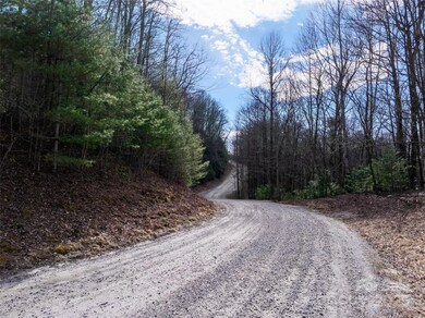 Lot 56 Big Branch Rd unit 56A, Brevard, NC 28712 - photo 5