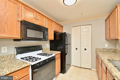 14162 Cuddy Loop unit 201, Woodbridge, VA 22193 - photo 6