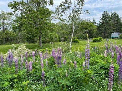 116 Pioneer Farm Way, Ellsworth, ME 04605 - photo 3