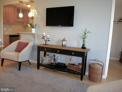 Tiber Island unit N403, Washington, DC 20024 - photo 7