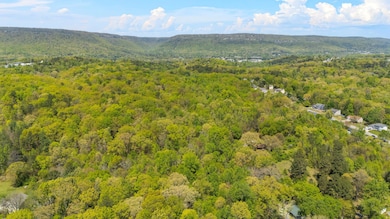 401 Laymons Rd, Hixson, TN 37343 - photo 5