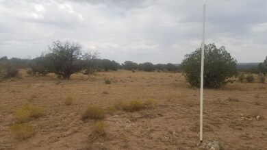 Lot 243 Blye Canyon -- unit 723, Peach Springs, AZ 86434 - photo 4