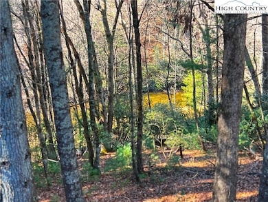 56 Buttons Ln, Sparta, NC 28675 - photo 3