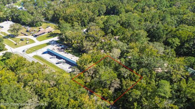 0 Lark Ave unit 2256031, Brooksville, FL 34601 - photo 5