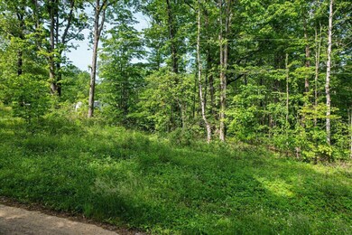 02-Dunlap Lot-2