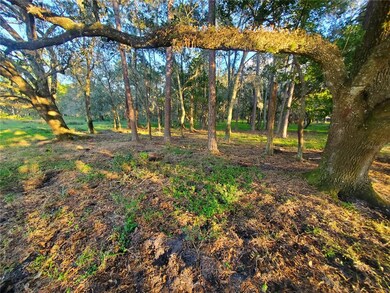 0 Whitney Ashton Ln unit T3417139, Zephyrhills, FL 33542 - photo 7