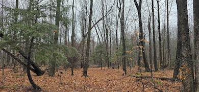 0 Countyroad Ww, Merrill, WI 54452 - photo 5