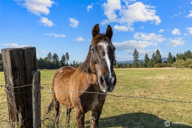 0 XXX Westside Rd, Cle Elum, WA 98922 - photo 3
