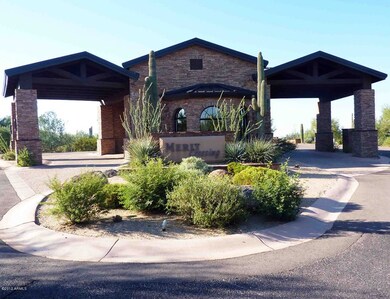 Merit Crossing Gate