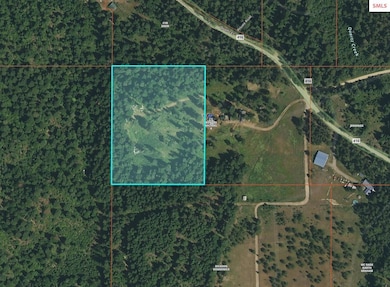 NKA Lower Quartz Creek Rd, Priest River, ID 83856 - photo 4