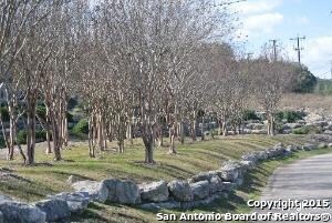 12303 Calvert, Helotes, TX 78023 - photo 4