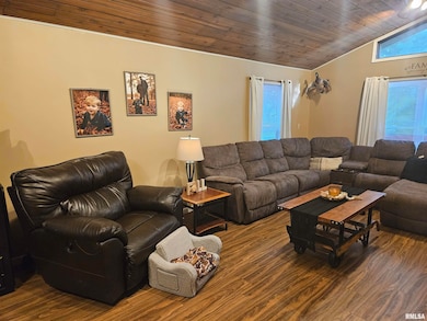 10322 Mine 24 Rd, Benton, IL 62812 - photo 6