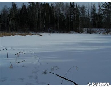 0 Horseshoe Lake Rd, Weyerhaeuser, WI 54895 - photo 6