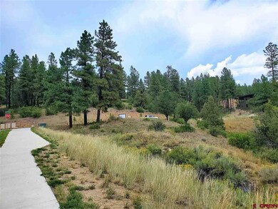 38 Wood Rose Ln, Durango, CO 81301 - photo 5