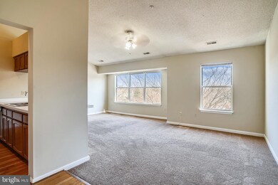 14106 Valleyfield Dr unit 106, Silver Spring, MD 20906 - photo 5