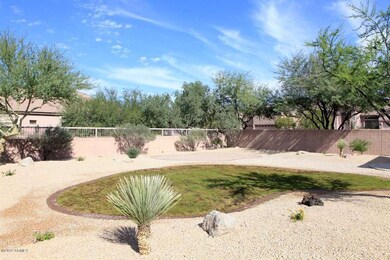 Backyard2