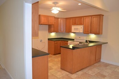 718 Randolph, Mt. Vernon, GA 30445 - photo 3