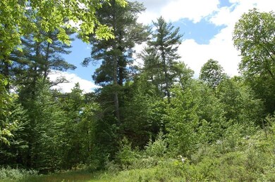 Lot 33 Nevins Rd, Hollis, NH 03054 - photo 3