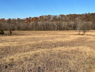 117.71 Acres Cemetery Rd, Scottsville, KY 42164 - photo 6