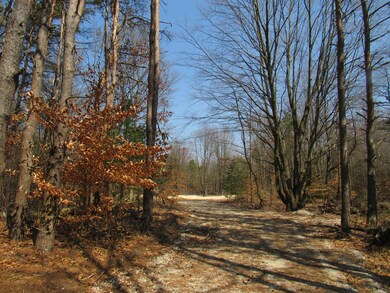IMG_1020