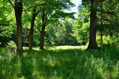 417 Whitfield Rd, Accord, NY 12404 - photo 4