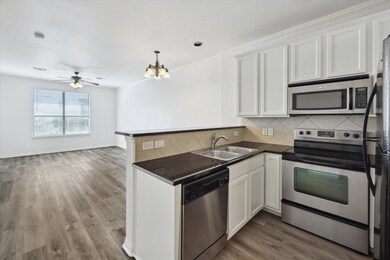 2101 Town Centre Dr unit 1606, Round Rock, TX 78664 - photo 7