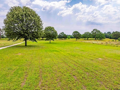 Lot 7 Babes Landing, Lindale, TX 75771 - photo 3