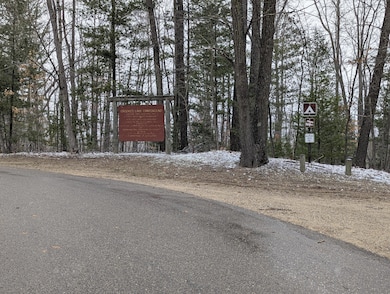 V/L 0 W Crooked Lake Rd, Lake Township, MI 49651 - photo 3