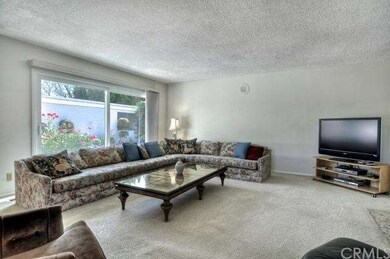 Spacious Living Room Open to the Courtyard.